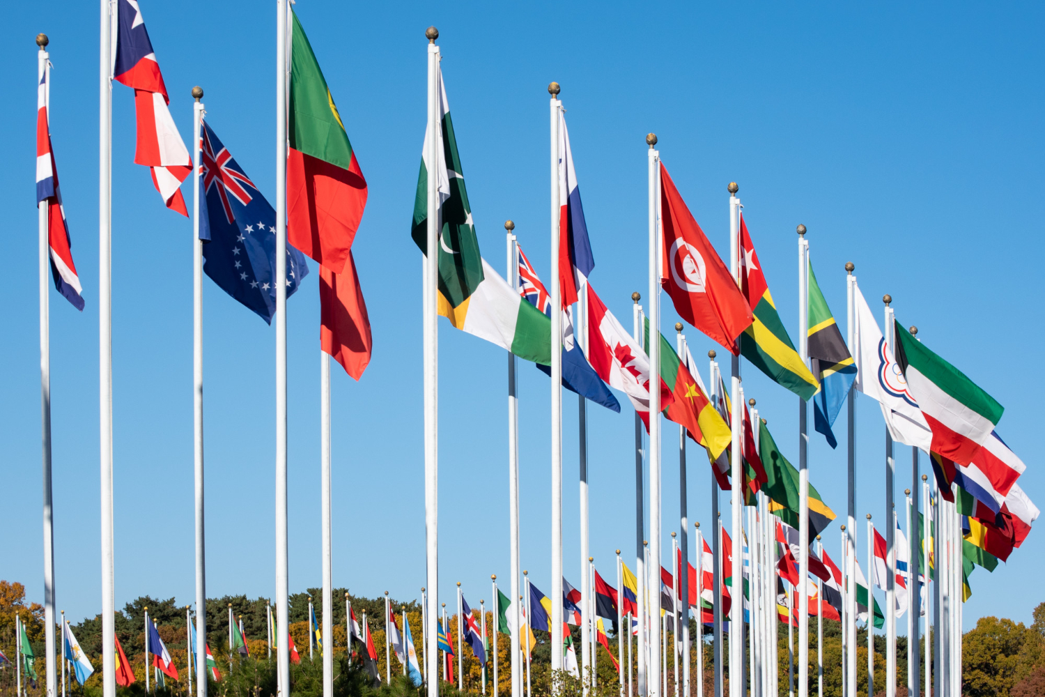 Flags from multiple countries swaying in the wind